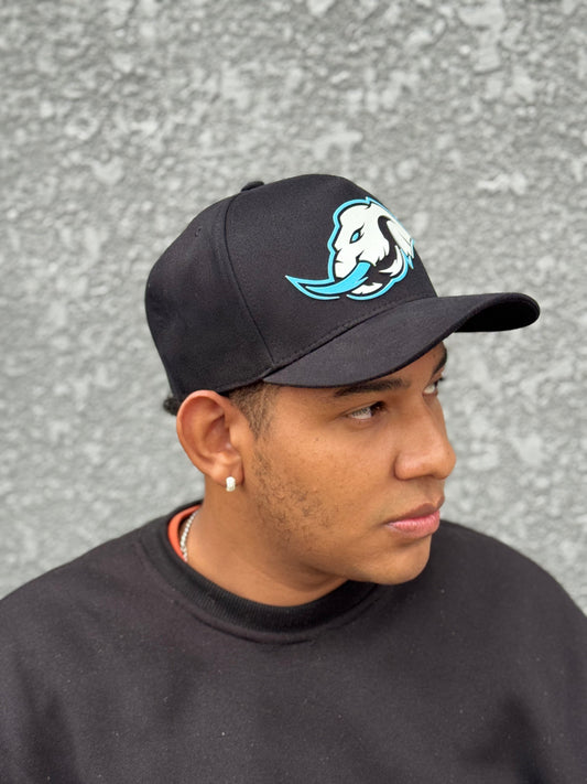 Boné Snapback Preto Elefante Spyna