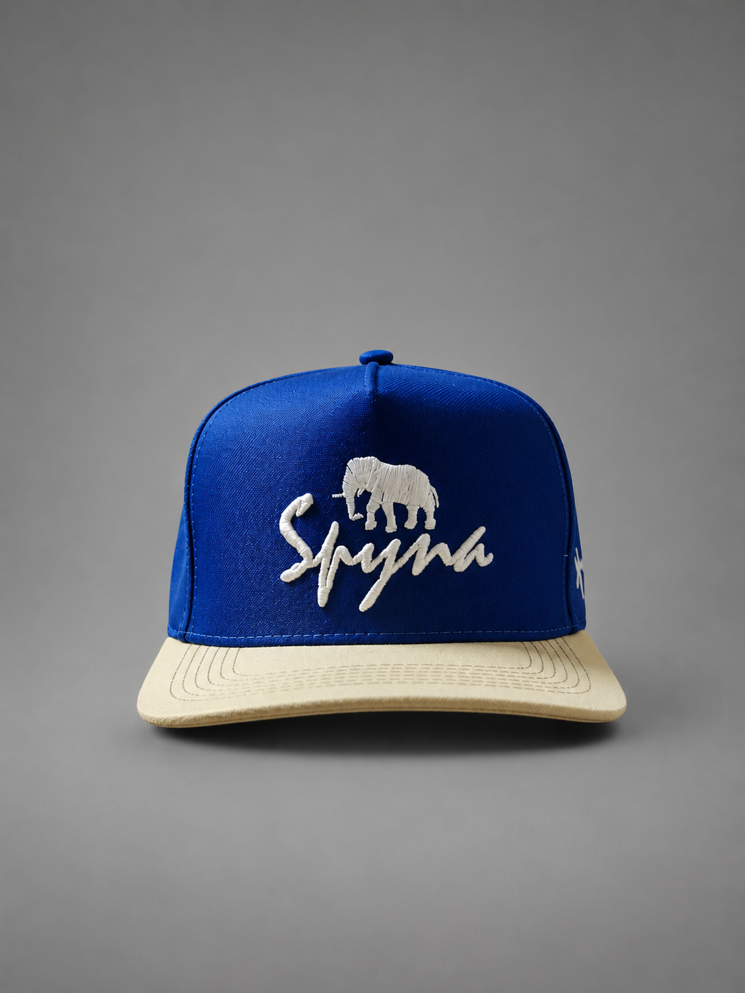 Boné Aba Reta Spyna Shoes Azul