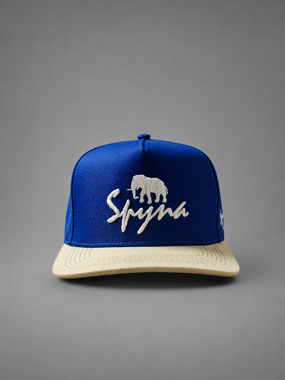 Boné Aba Reta Spyna Shoes Azul