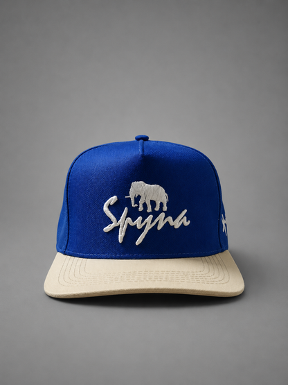 Boné Aba Reta Spyna Shoes Azul