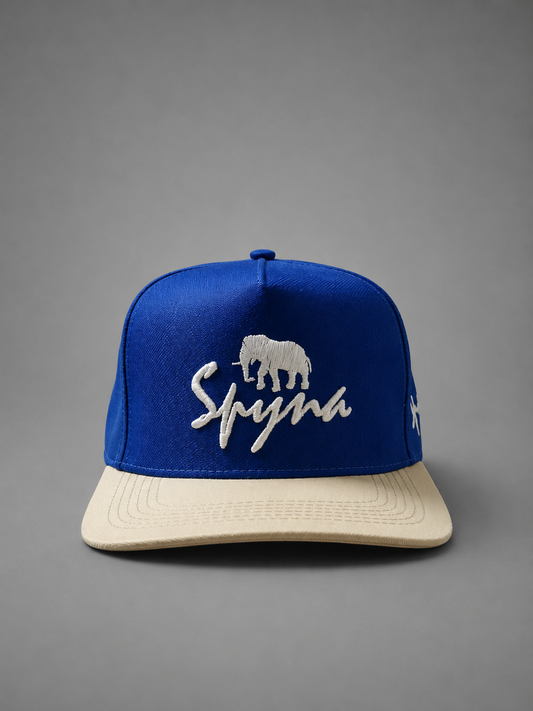 Boné Aba Reta Spyna Shoes Azul