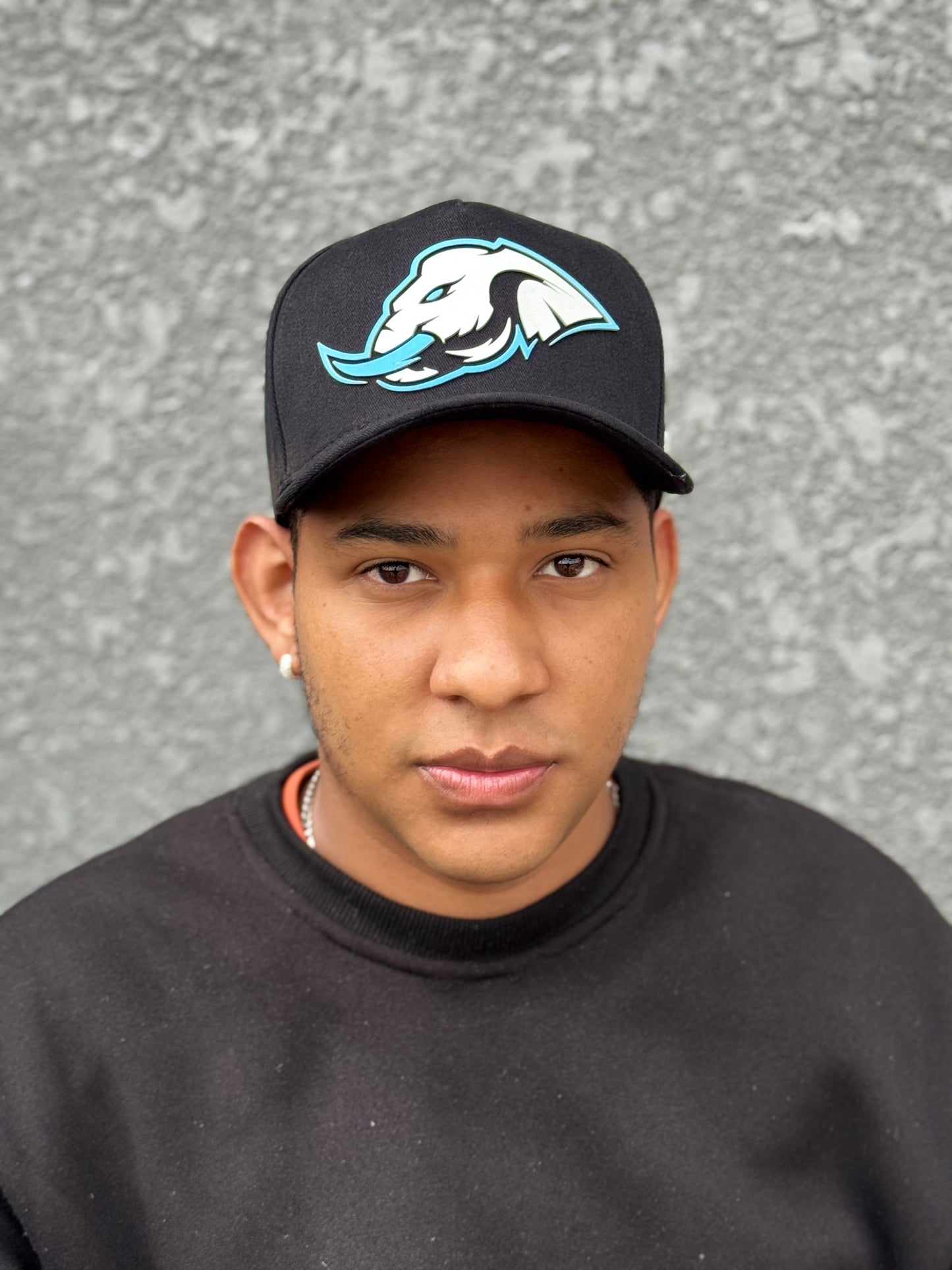 Boné Snapback Preto Elefante Spyna