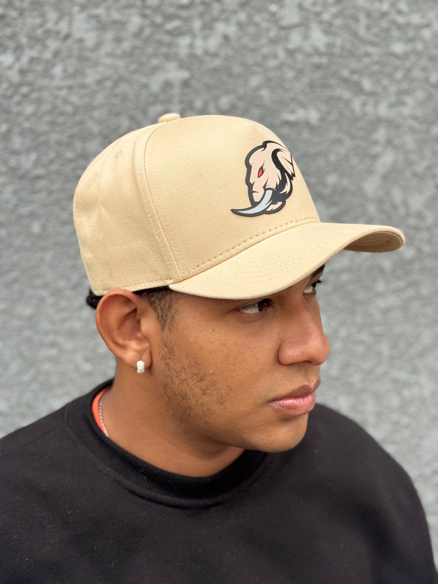 Boné Bege Snapback Elefante Spyna