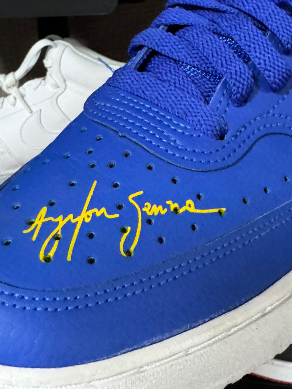 Tênis Nike Court Vision Ayrton Senna Customizado