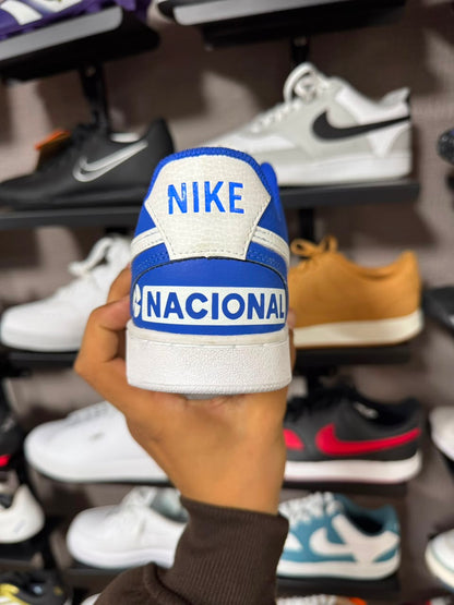 Tênis Nike Court Vision Ayrton Senna Customizado