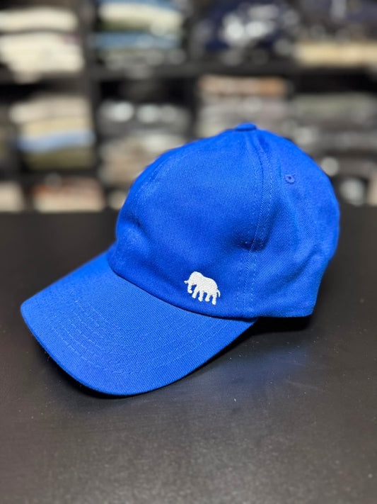 Boné Spyna Dad Hat Aba Curva Fivela Unissex