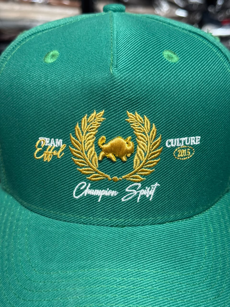 Boné Snapback Effel Culture Verde Masculino Original