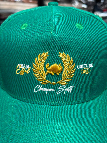 Boné Snapback Effel Culture Verde Masculino Original